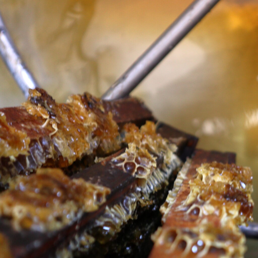 HoneyExtractortop