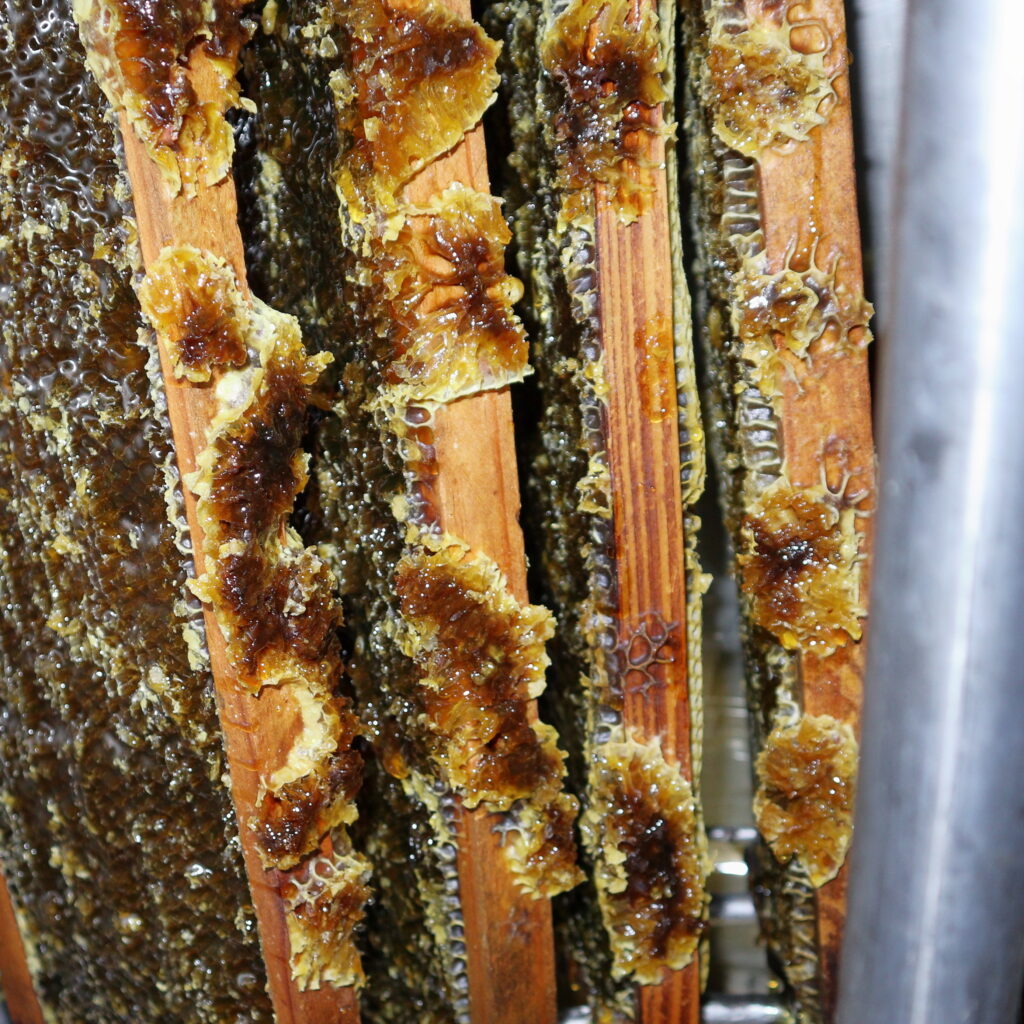 HoneyExtractor